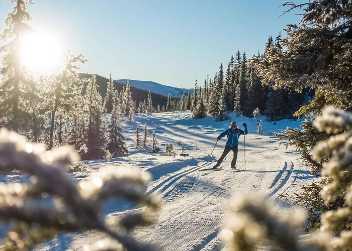 Centre, Sauna, Hot Tub Espeset