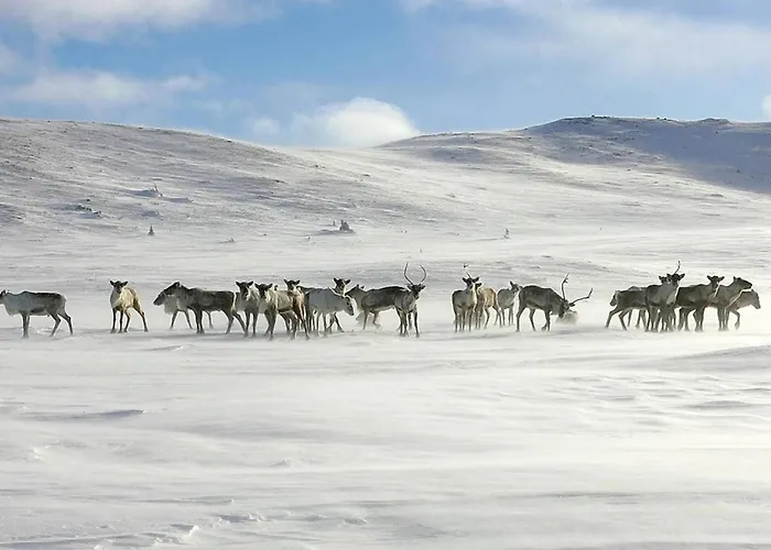 Centre, Sauna, Hot Tub * Espeset